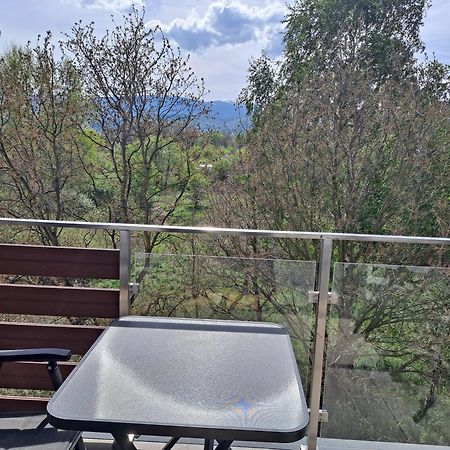 Jelonek Apartment Jelenia Gora Bagian luar foto