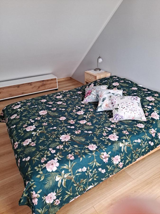 Jelonek Apartment Jelenia Gora Bagian luar foto
